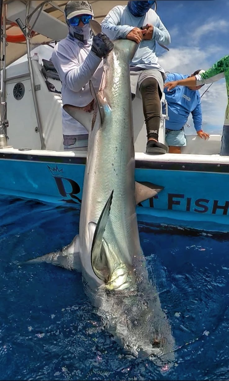 Gran captura de pesca sostenida por el equipo a bordo de una embarcación